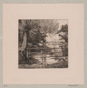 Saules près d