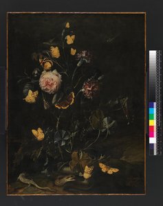 Fleurs, insectes et reptiles, 1673 - Otto Marseus  van Schrieck