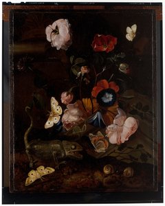 Nature morte forestière