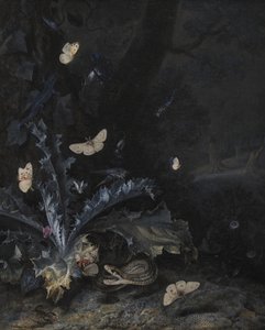 Nature Morte avec Chardon et Serpent - Otto Marseus  van Schrieck