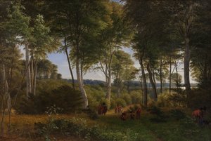Bois de Delhoved près du lac Skarre, Zélande. Lumière de l