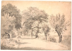 La route près du manoir de Vognserup - P.C. Skovgaard
