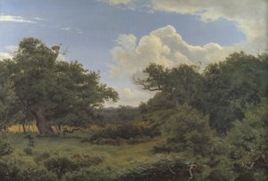 Chênes dans la forêt de Nordskoven près de Jægerspris, Zélande - P.C. Skovgaard