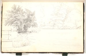 Paysage forestier près d
