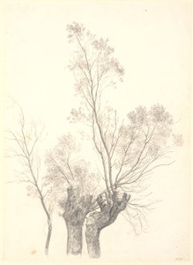 Étude de saules taillés - P.C. Skovgaard