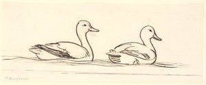 Deux canards. Esquisse décorative. - P.C. Skovgaard