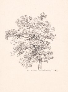 Arbre à Fredensborg