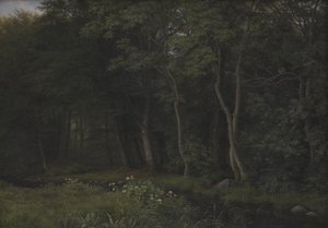 Crépuscule dans un bois près du manoir d