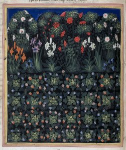 Jardin (Extrait de Regia Carmina de Convenevole da Prato) - Pacino di Bonaguida
