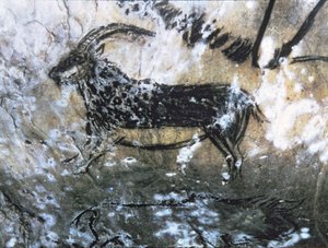 Chèvre ou chamois, peinture rupestre dans la Salle Noire, Magdalénien