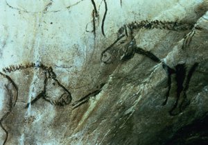 Chevaux, peintures rupestres dans la Salle Noire, Magdalénien