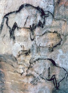 Bison blessé, Magdalénien