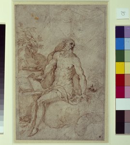 Esquisse, peut-être Saint Jérôme - Palma Il Giovane