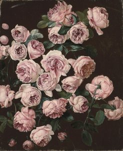 Un rosier (huile sur toile) - Pancrace Bessa