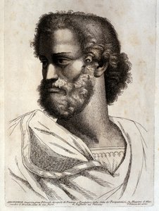 ARISTOTLE - Paolo Fidanza