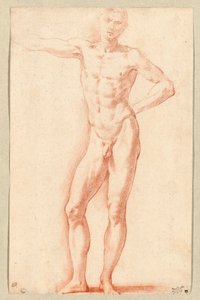 Nu masculin (craie rouge) - Parmigianino (1503-40)
