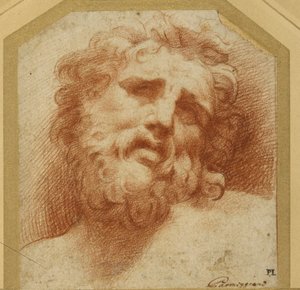 Tête barbue, regardant vers le haut (peut-être Laocoon) - Parmigianino