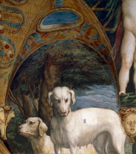 Paire de chiens, détail du Mythe de Diane et Actéon, par Francesco Mazzola dit Parmigianino (1503-1540), fresque, côté nord de la Salle de Diane et Actéon, Rocca Sanvitale, Fontanellato, près de Parme, Italie, vers 1524 - Parmigianino