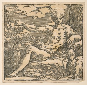 Saint Jean-Baptiste dans le désert - Parmigianino