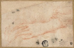 Croquis de la main et du poignet gauches - Parmigianino