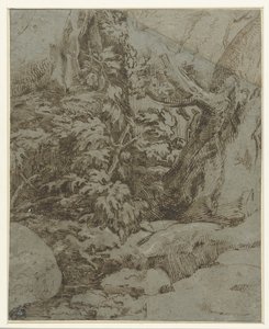Étude de paysage - Parmigianino