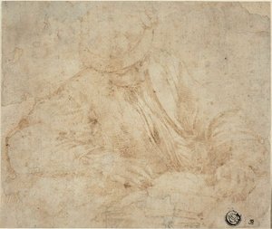 Jeune homme lisant - Parmigianino