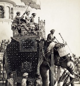 La reine Élisabeth II sur un éléphant (gouache)