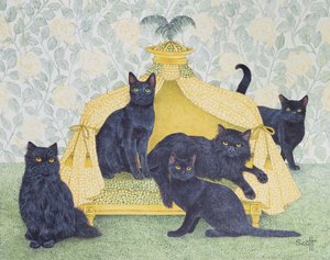 Velours noir - Pat Scott