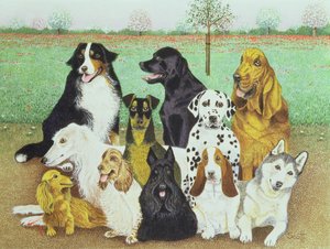 Surveillance des chiens - Pat Scott