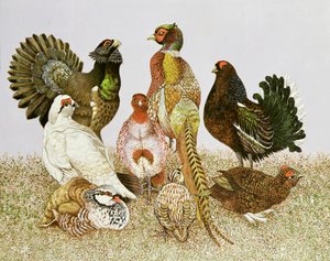 Gibier à plumes - Pat Scott