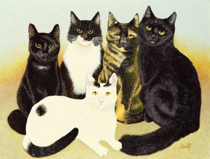 Les chats de Miss Cox - Pat Scott
