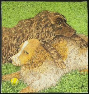 Possession - Pat Scott