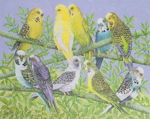 Sweet Talking (acrylique sur toile)