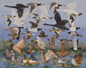 Décollage - Pat Scott