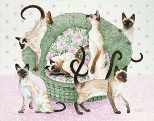 Nous sommes des siamois si vous le voulez bien (acrylique sur calicot) - Pat Scott