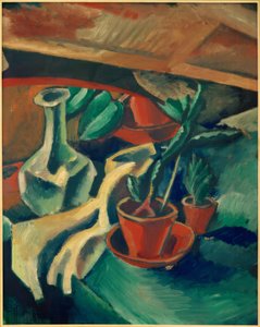 Cactus et carafe