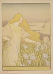 Iris