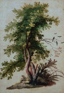 Un arbre avec deux oiseaux perchés sur une branche