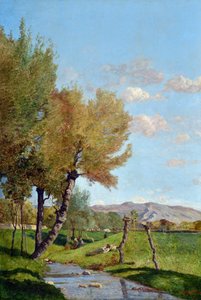 Le grand saule