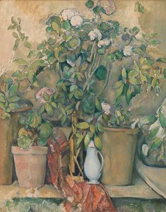 Pots en terre cuite et fleurs