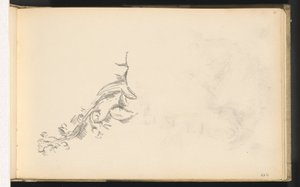 Branche en fleur - Paul Cézanne