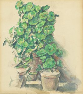 Géraniums, 1888-1890