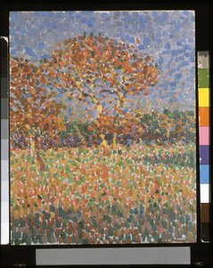Paysage