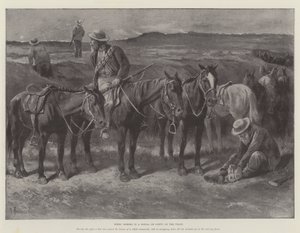 Chevaux boers dans un donga, ou faille, sur le veld