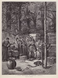 Marchand de serpents en Amérique centrale - Paul Frenzeny
