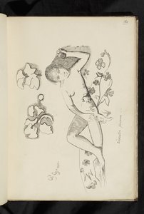 Avant et après - dessin "Personne décorative" - Paul Gauguin
