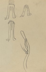 Quatre formes fantastiques [recto]