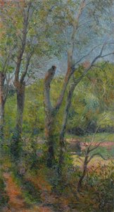 Français :  Les Saules Willows - Paul Gauguin