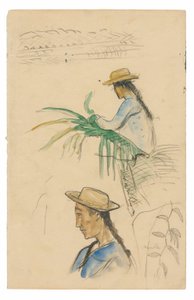 Croquis de figures, feuille de pandanus et plante de vanille - Paul Gauguin