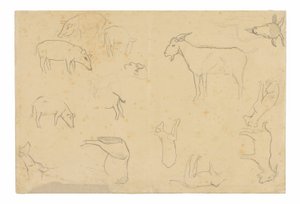 Esquisses de divers animaux et d